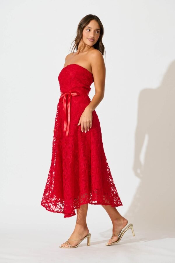 Midi Dress in Red Floral Embroidered Tulle