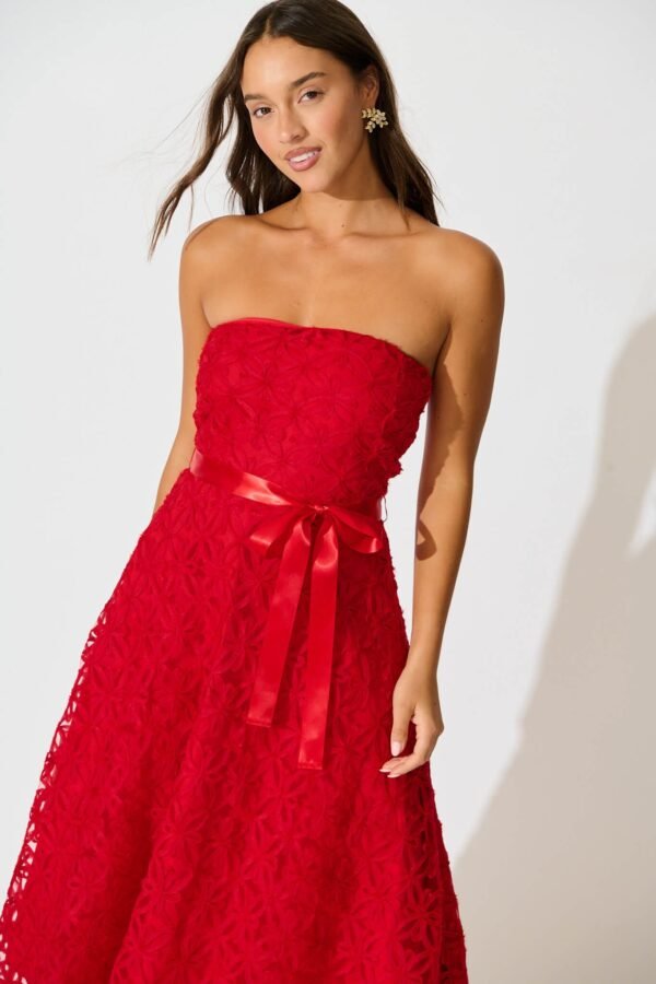 Midi Dress in Red Floral Embroidered Tulle