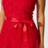 Midi Dress in Red Floral Embroidered Tulle