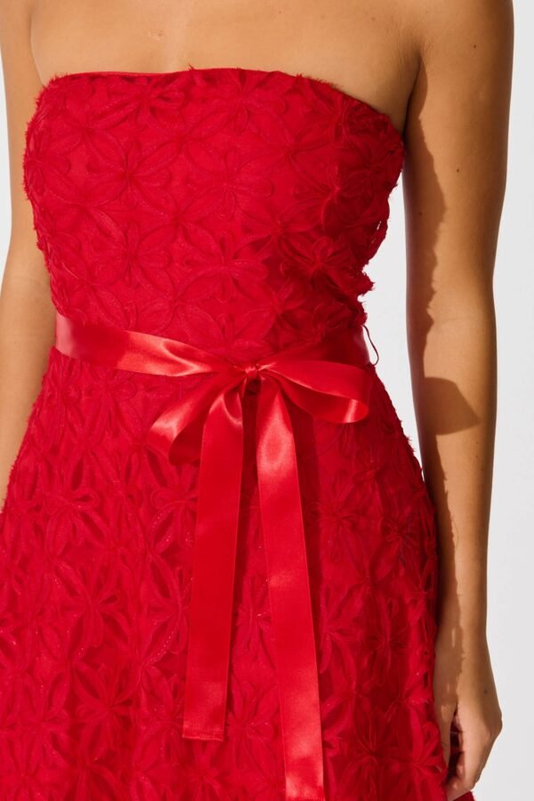 Midi Dress in Red Floral Embroidered Tulle